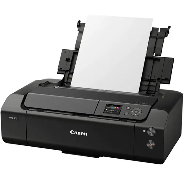 Canon image PROGRAF PRO 300 Stampante Fotografica Professionale A3+ con 10  inchiostri stampanti-carte stampanti stampanti-laser-e-inkjet in offerta su  GENIALPIX