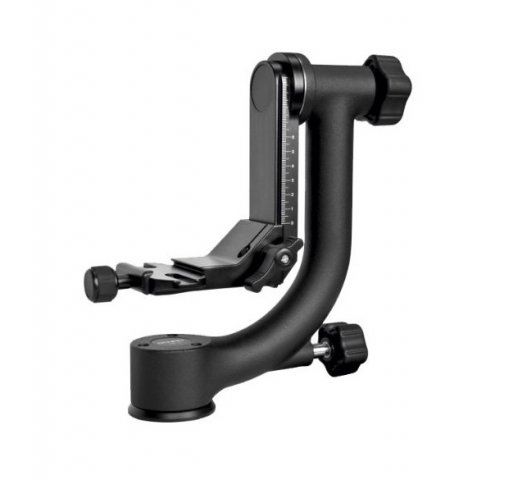 Foto principale Benro GH2 Gimbal Head con Piastra PL-100 - Garanzia Rinowa 5 anni