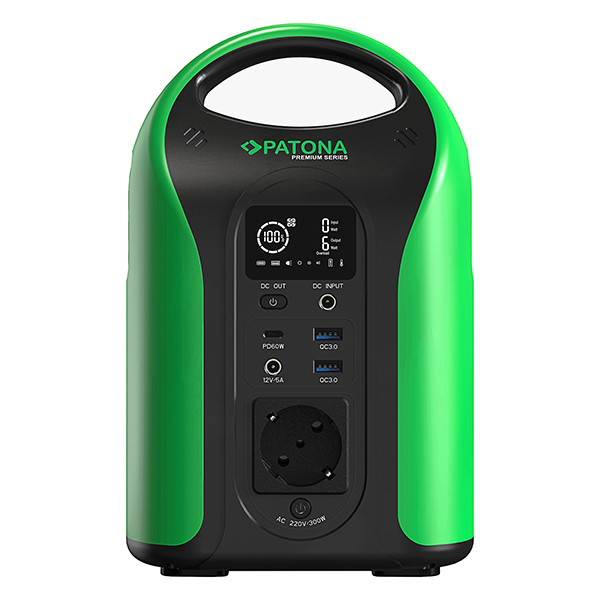 PATONA 2 Pannelli Solari Pieghevoli 100W Output USB e DC